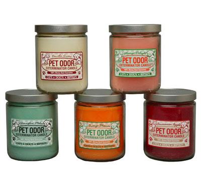 Pet Odor Exterminator Jar Candle, Scented Glass Jar Candles Manufacturer
