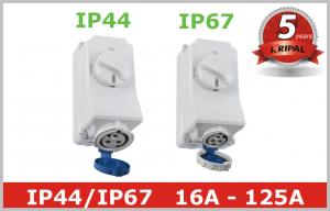 Quality 230V 400V Waterproof Interlocked Switch Sockets for Industrial Plug for sale