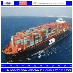 Quality                                  Professional Sea Freight Shipping Service From China to Thailand/Bangkok              for sale