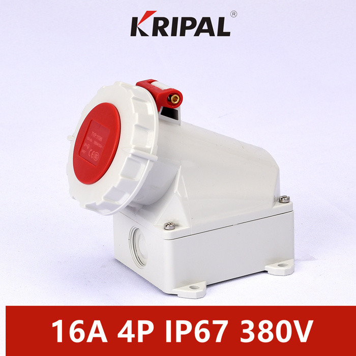 Quality IP67 16A 380V 4 Pole Industrial Wall Mounted Socket IEC Standard for sale