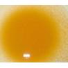 Buy cheap Artemia Cysts with high hatching rate supplied from factory from wholesalers