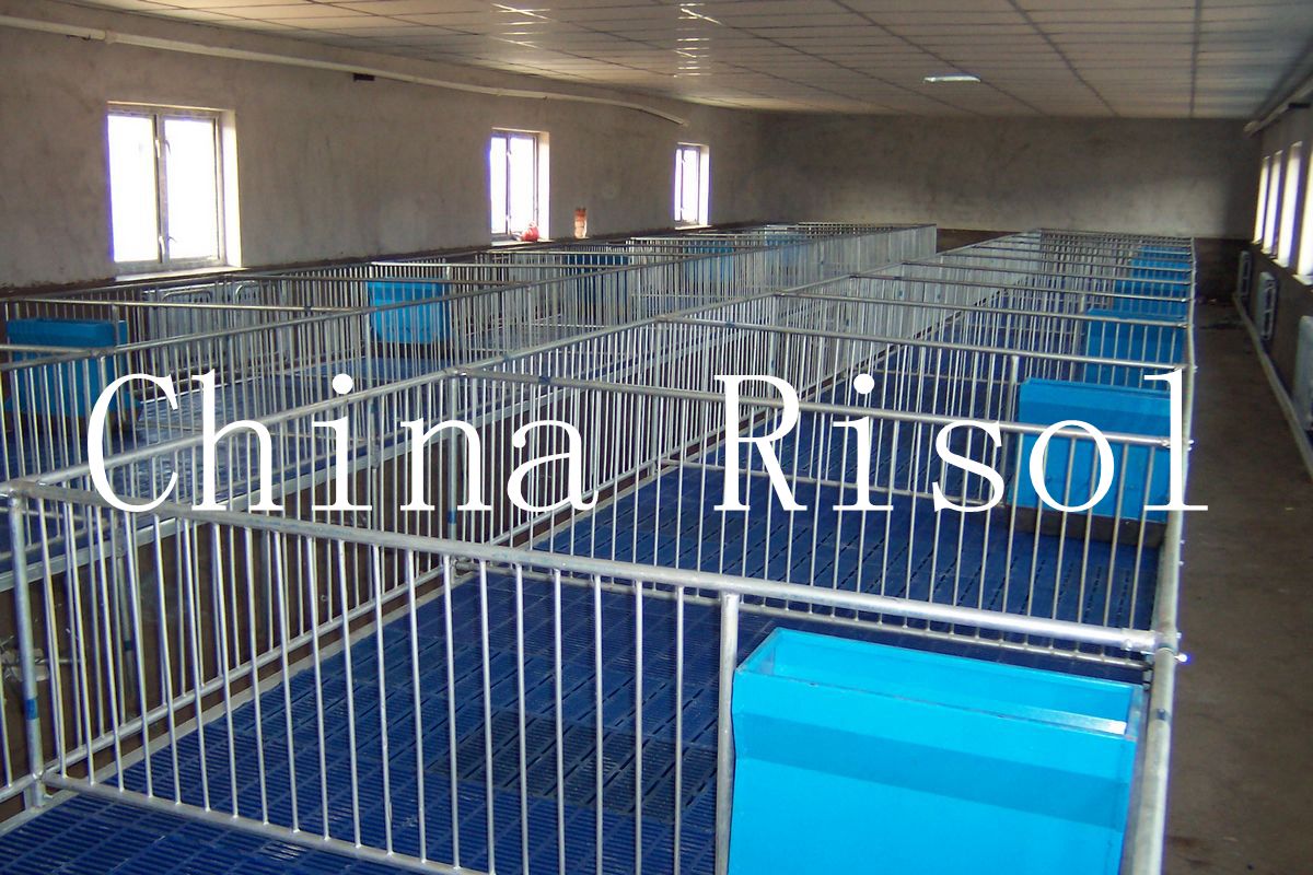Quality Pig Raising farming Equipment Of Nursing Fence for sale