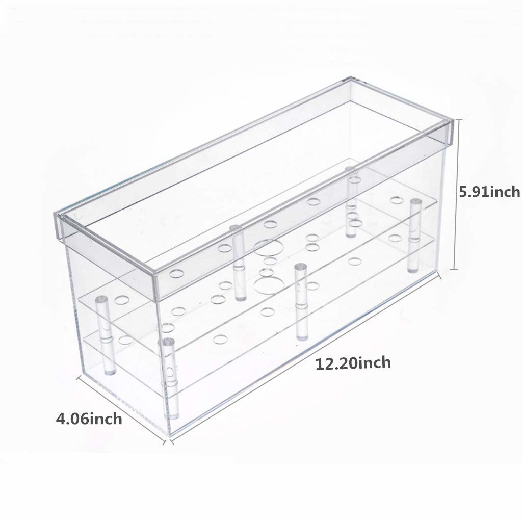 Quality Waterproof Everlasting Roses Acrylic Box Daily Decoration For 25 Roses for sale