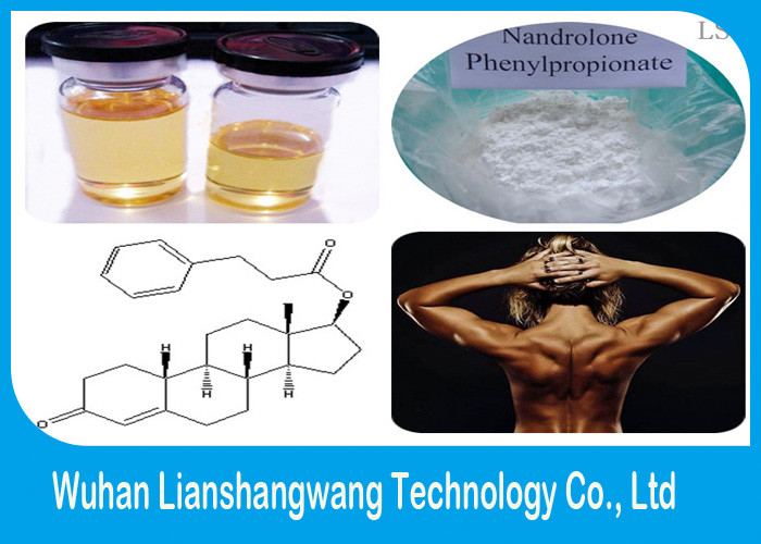 Quality Injectable / Oral Anabolic Nandrolone Steroids NPP Prohormones For Bodybuilding for sale
