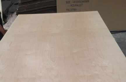 Quality White Birch UV Coated Plywood Poplar / Eucalyptus Core Type 2.5 - 20mm Thickness for sale