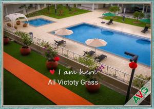 Quality Free Maintenance Pet Artificial Grass Natural Appearance Long Life Evergreen for sale