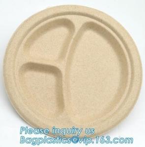 Quality Food Eco Friendly Dinnerware Fruit Snack Biodegradable Corn Starch PLA Foamed for sale