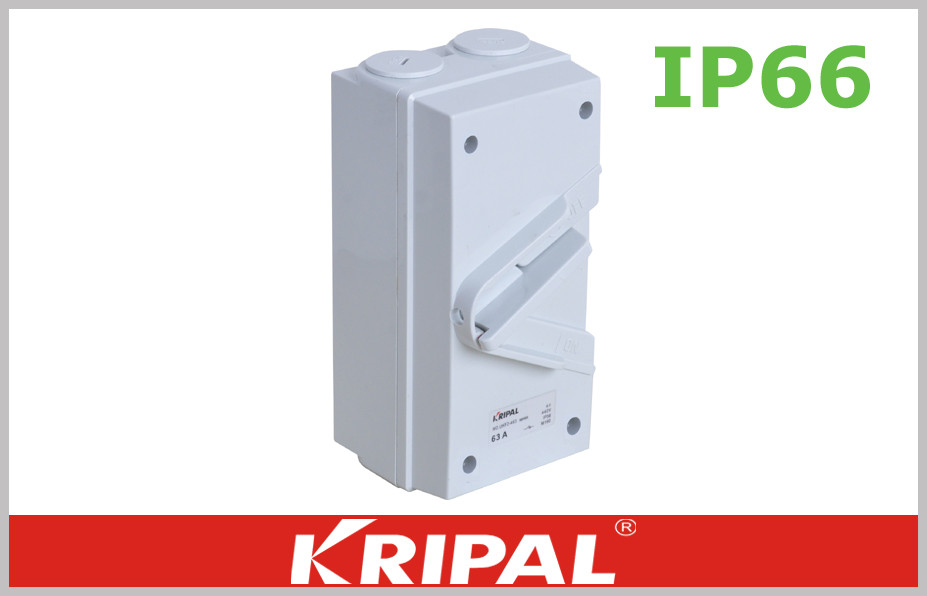 Quality UKF1 series  IP66 Double Pole Electrical Weatherproof Switch Socket Outlet 63A For Outdoor Isolation for sale