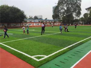 Quality Durable False Turf Playground Soccer Synthetic Grass Environment Friendly for sale