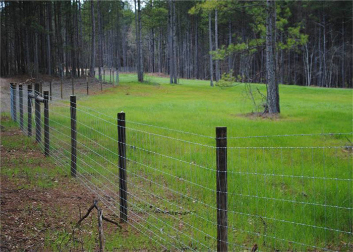 galvanized chain link fence,secure and durable choice in permanent fencing,ensures long life and low maintenance.
