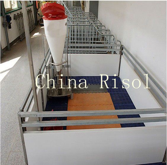 Quality High quality pig equipment nursery crates for sale