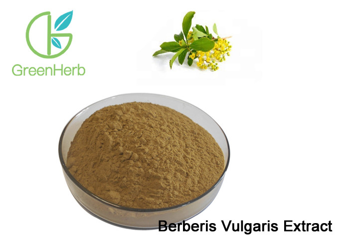 Quality Brown Fine Barberry Powder / Berberis Vulgaris Extract 10:1 For Cosmetics Additive for sale