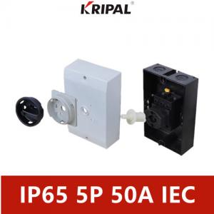 Quality CE Approval IP65 Isolator Switch 4 Pole 32A 40A 50A 63A With Enclosure for sale