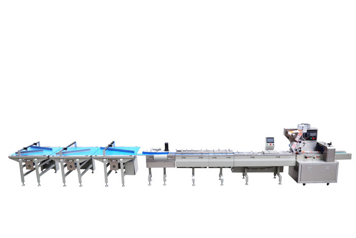 Quality Carbon Steel SS 304 Food Packaging Line for sale