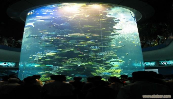 Quality Cylindrical Clear Acrylic Aquarium Tanks / Plexiglass Fish Tank 300mm Thick for sale