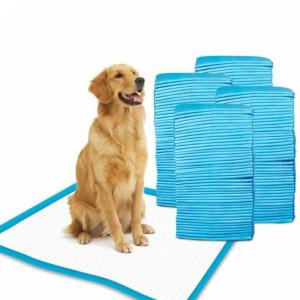 Quality Cat Puppy Training Pads OEM Doggy Pee Pads Soft Non Woven Topsheet for sale