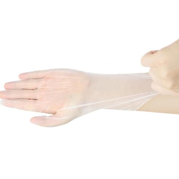 M Permanent Makeup Tattoo Kit Disposable Examination PVC Gloves