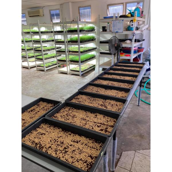 39W Adjustable Spectrum Led Grow Light