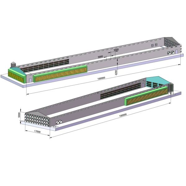 Battery Chicken Cages Fully Automatic Environmental Controlled System Suitable for Poultry Farming