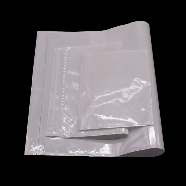Self Adhesive Mailing Back Pocket Bio Packing List Envelope