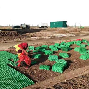 China HDPE Black Green White Plastic Planting Grass Paver Grid for Parking Lot and Driveway on sale