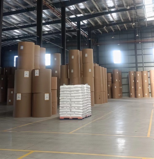 Biodegradable PE Coated Paper Roll Single or Double Side Coating