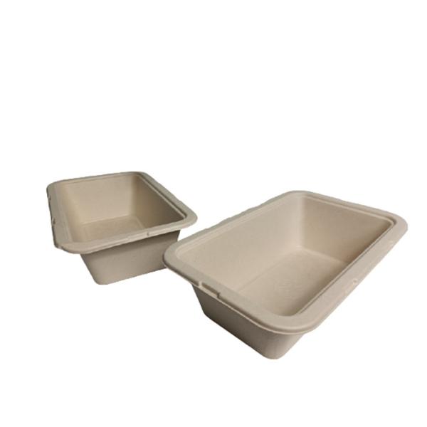 10×6 Inch 1050ml 35g Biodegradable Salad Boxes