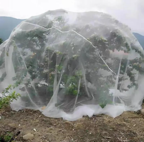 50 Mesh Plastic Screen For Agriculture And Greenhouse