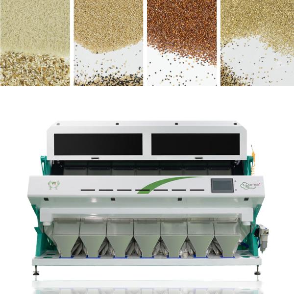 Automatic 7 Chutes Farm Processing Line Used Wheat Barley Color Sorting Machine With Toshiba Camera