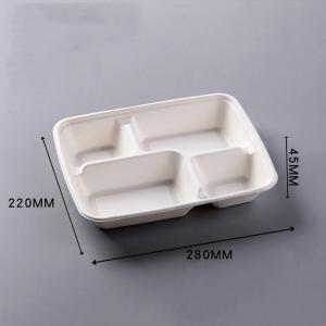 Biodegradable Disposable Pulp Tableware Packaging Eco-Friendly Solution for