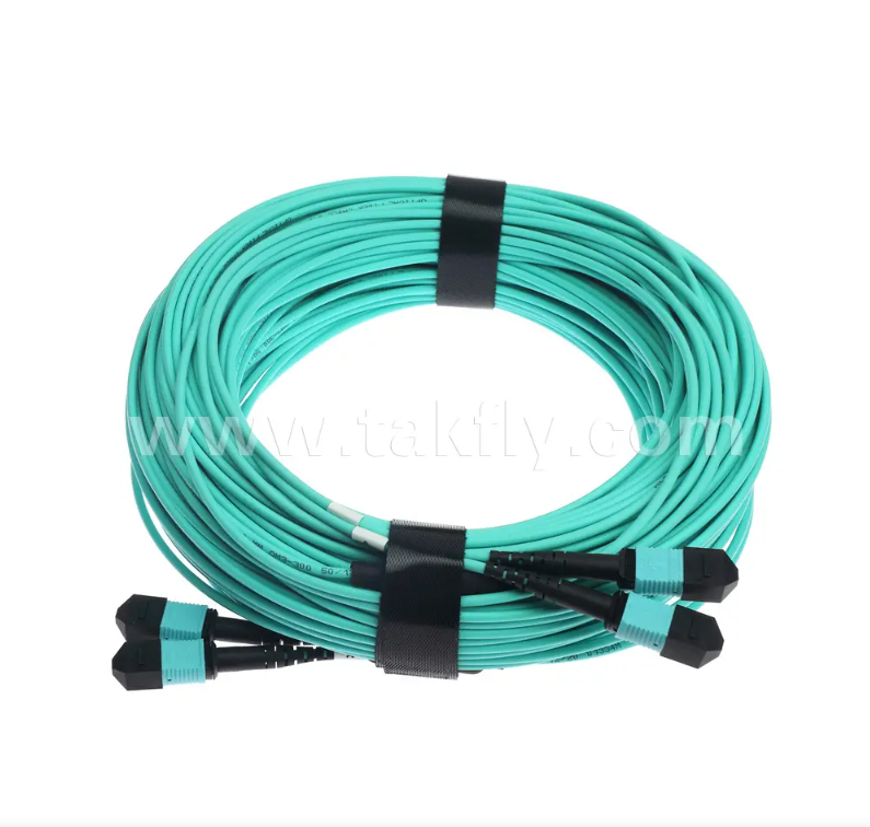 24-Core MPO/PC Mini Trunk Patch Cord – OM3 Multimode, 2×MPO Input to 2×MPO Output, Low Insertion Loss, for High-Density Data Center & 40G/100G SR4