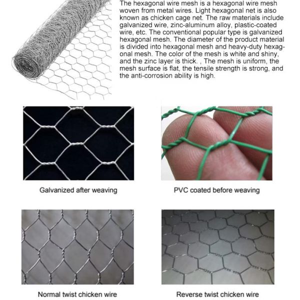 Hexagonal Wire Mesh PVC Coated Wire Mesh Hexagonal Wire Netting