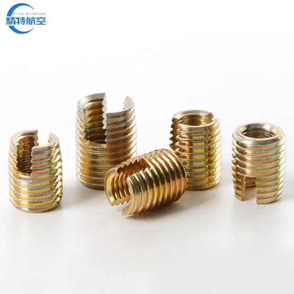 Tanged Thread Inserts Brass Insert Stainless Steel SS304 Self-Tapping Threaded Inserts with Fine/Coarse Thread Type