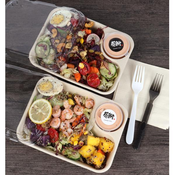 22.4x16x4.5cm Biodegradable Bamboo Pulp Packaging 850ml Microwaveable