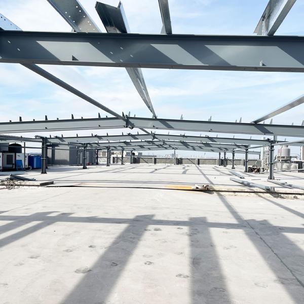 Fast Build Steel Structure Workshop Warehouse for Quick Construction