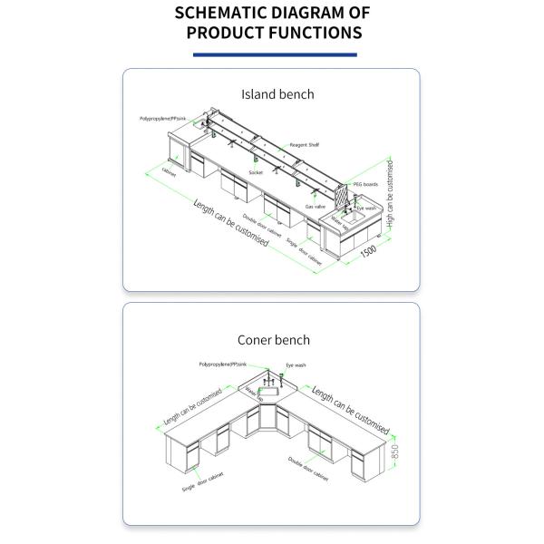 Customized Lab Tables Work Benches Laboratory Island Bench