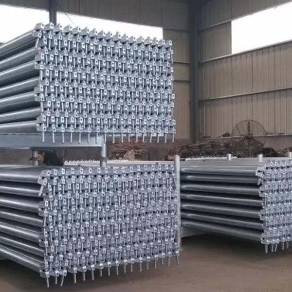 Q355 Adjustable Hot Dip Galvanized China Galvanized Ringlock Scaffolding