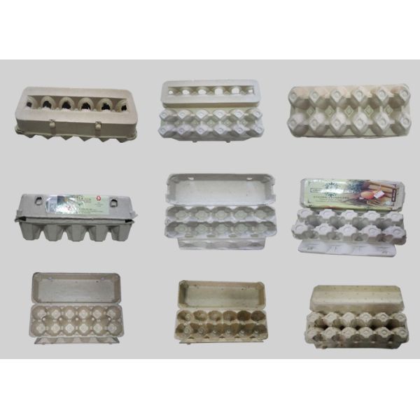 Durable Fully Automatic Pulp Moulding Paper Egg Tray Machinery with CE