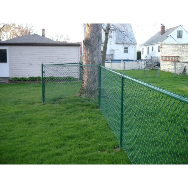 Cyclone Chain Link Mesh Galvanized PVC Coated 50x50mm 2.5in