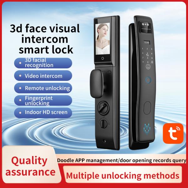 Multi-Languages 3D Face Automatic Smart Entry Door Locks Black Cerradura Inteligente