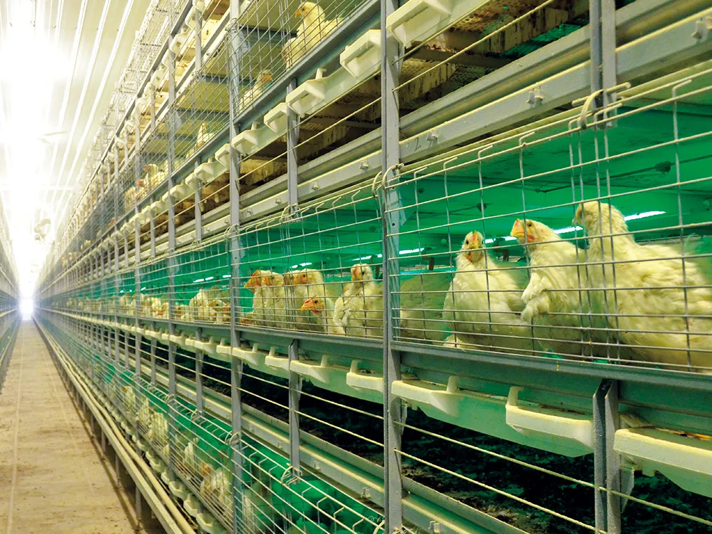 Cellulose Structure Evaporative Cooling Pad System For Poultry House Hydration Solutions