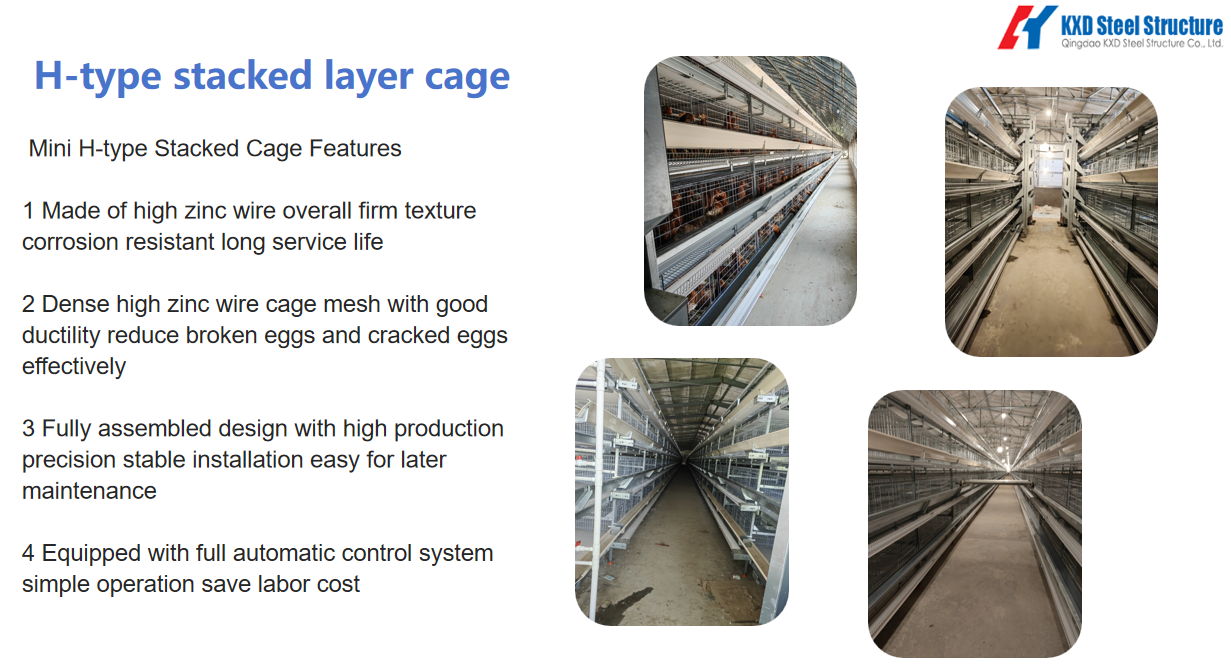 Bestchickencage H-Type Layer Cage with Galvanized Material and Automated Supporting Systems for High-Density Stacking