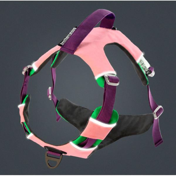 Adjustable Reflective Oxford Large Dog Harness Leash Set With Easy Control