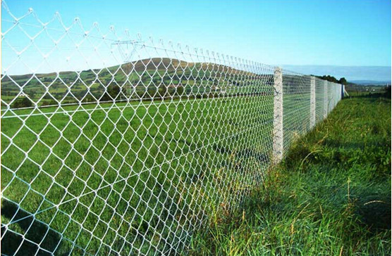 galvanized chain link fence for sale diamond wire mesh
