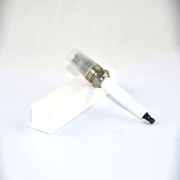 R10P7 Torch Spark Plug Specially Designed to Match for jenbach-er