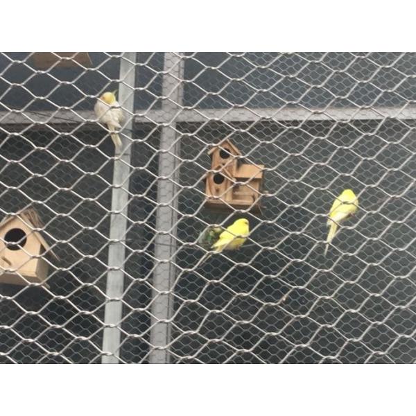 Stainless Steel Cable Mesh