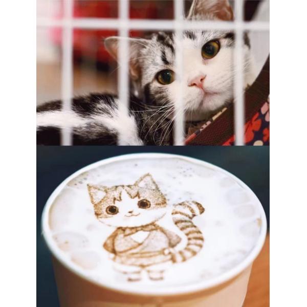 EVEBOT Coffee Printing Machine with Wifi Tablet for Milk Biscuits Cafe