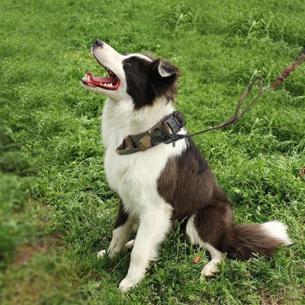 Nylon Tactics Camouflage Dog Collar For ​Medium Large Sized
