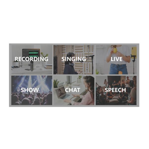 797AUDIO ATCR02 Condenser Microphone for Singing, Recording, Interview Professional