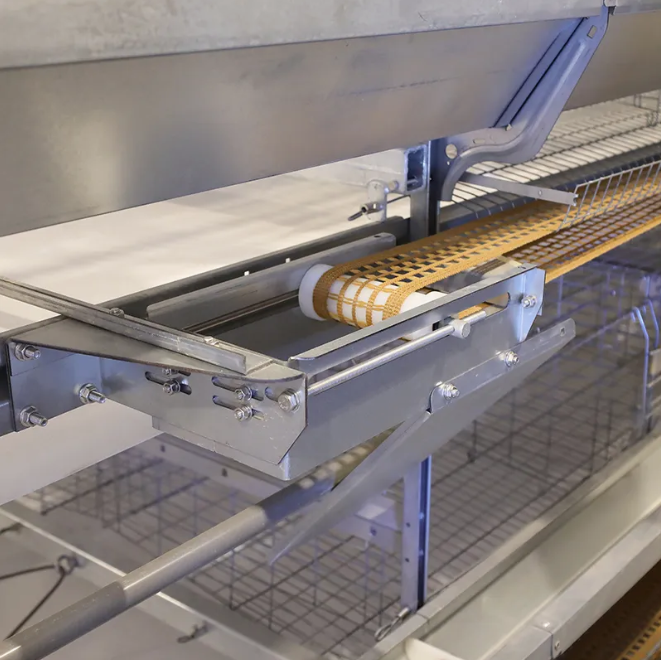 4-Tier H-Type Fully Automatic Layer Cage Hot-Dip Galvanized Poultry Farming Equipment for 10,000 Birds